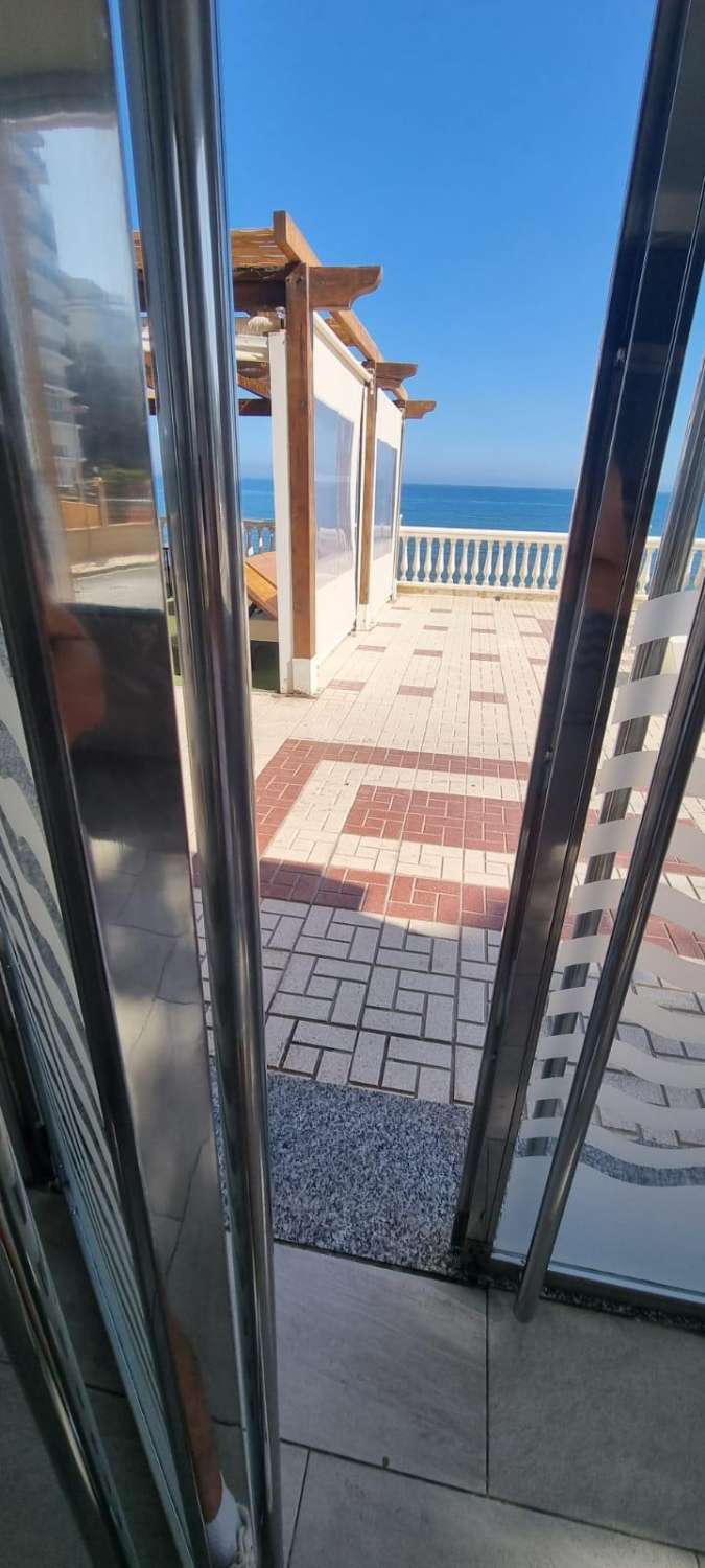 Se alquila desde  1 /09/2026 -30/06/20267 magnífico apartamento en en 1ª linea de playa en  Calahonda (Mijas).