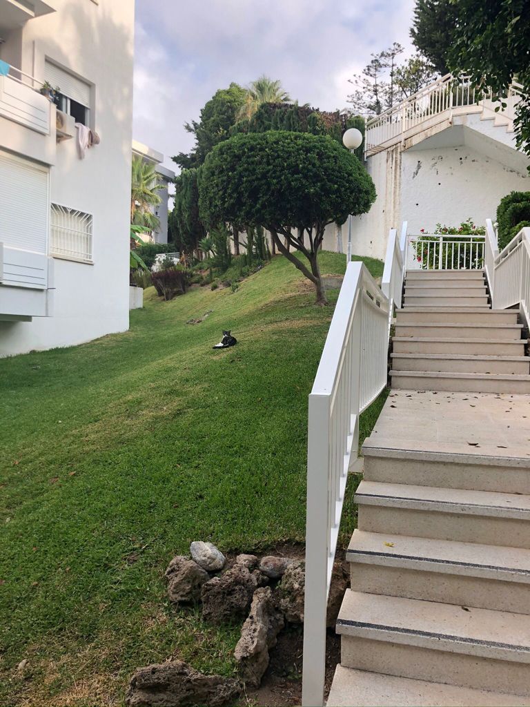 Se alquila desde 01/09/26-31/05/27 precioso apartamento  en 1ª línea de playa con vistas al mar en La Carihuela (Torremolinos).