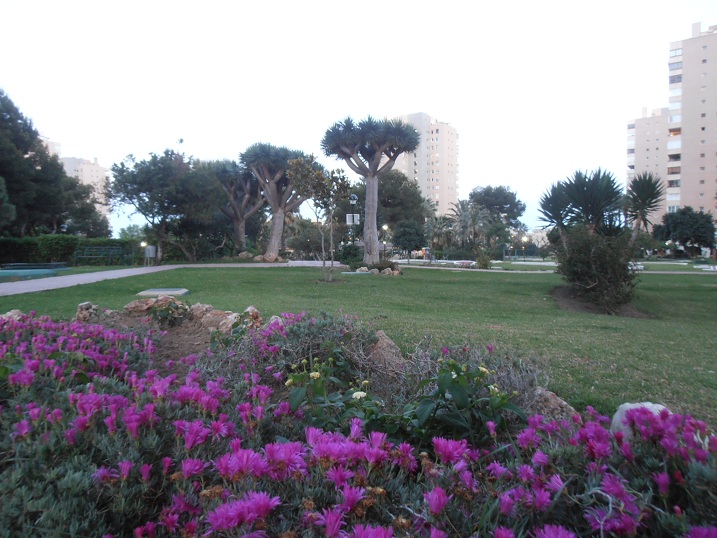 SE ALQUILA  01/09/2026 - 31/05/2027 MAGNIFICO APARTAMENTO 2 DORMITORIOS CON VISTA AL MAR EN PLAYAMAR