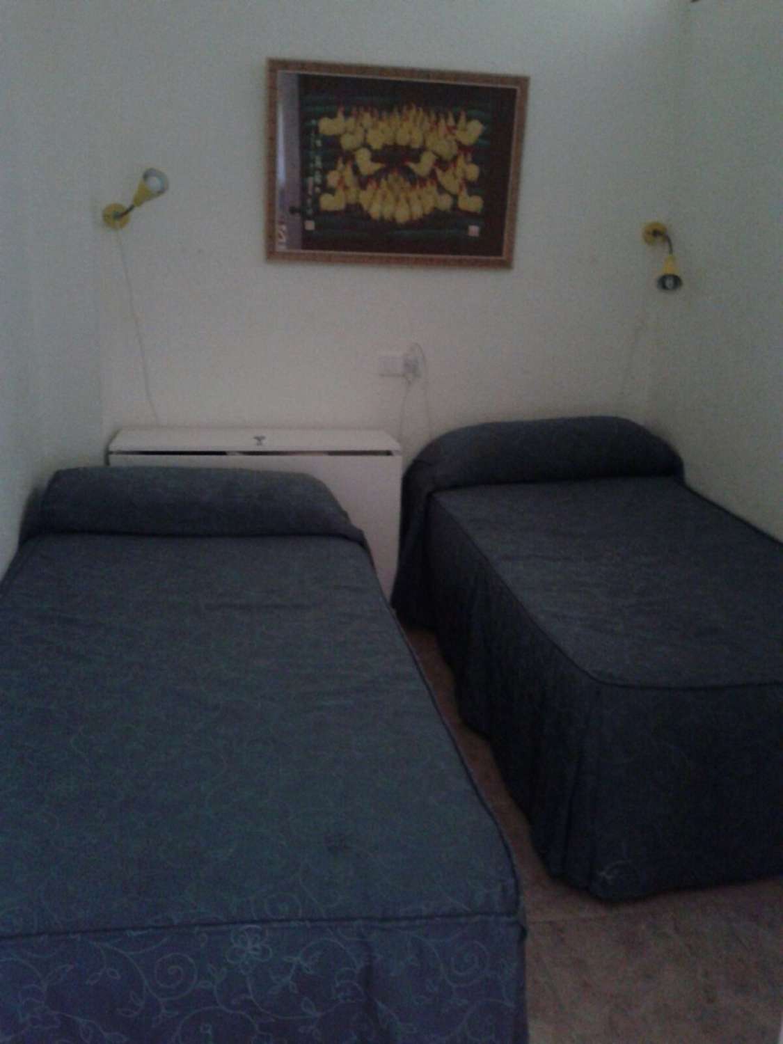 Se alquila desde ahora  al 31/05/2026 y desde 01/09/2026 hasta 30/06/2027 bonito apartamento en el centro de La Carihuela (Torremolinos).-