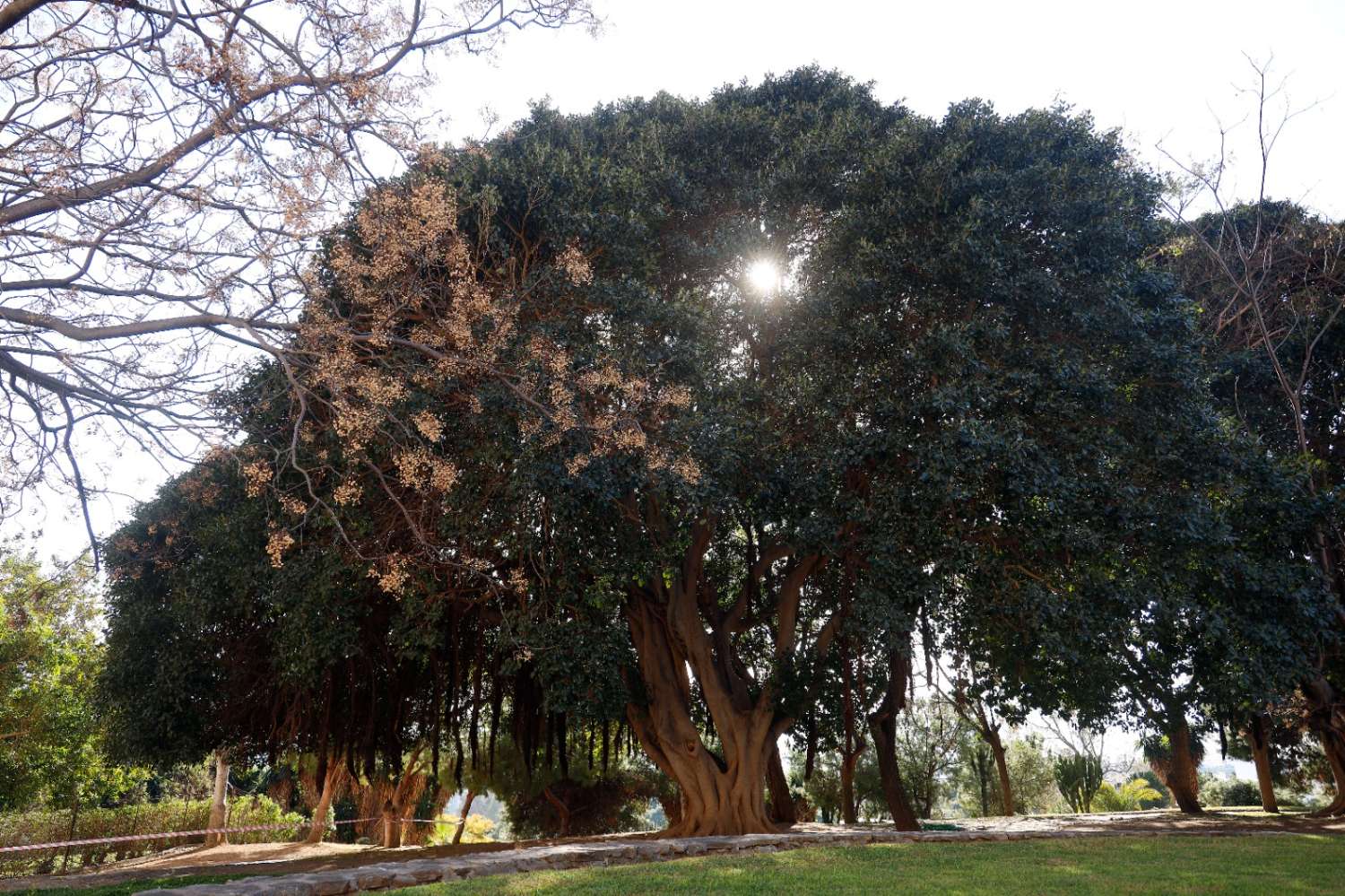 Se alquila desde  1/10/2026 al 30/03/2027 precioso estudio en Benalmádena