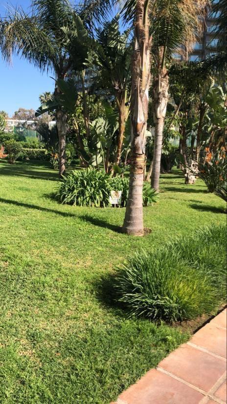 Se  alquila MEDIA TEMPORADA desde 11/09/2026 - 30.6.27  precioso apartamento en Playamar (Torremolinos).-