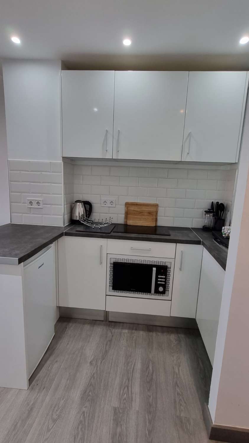 Flot studie med havudsigt til leje fra 01.02.26 - 31.5.26 og fra 01/09/2026 til 30/06/2027 i Arroyo de la Miel (Benalmadena)