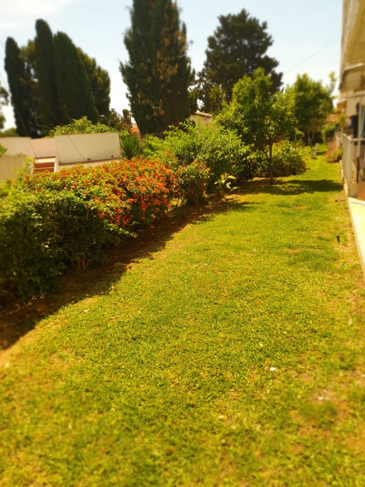 SE ALQUILA DESDE 1/9/26 -30/06/2027 BONITO APARTAMENTO REFORMADO  CERCA PLAZA SOLYMAR