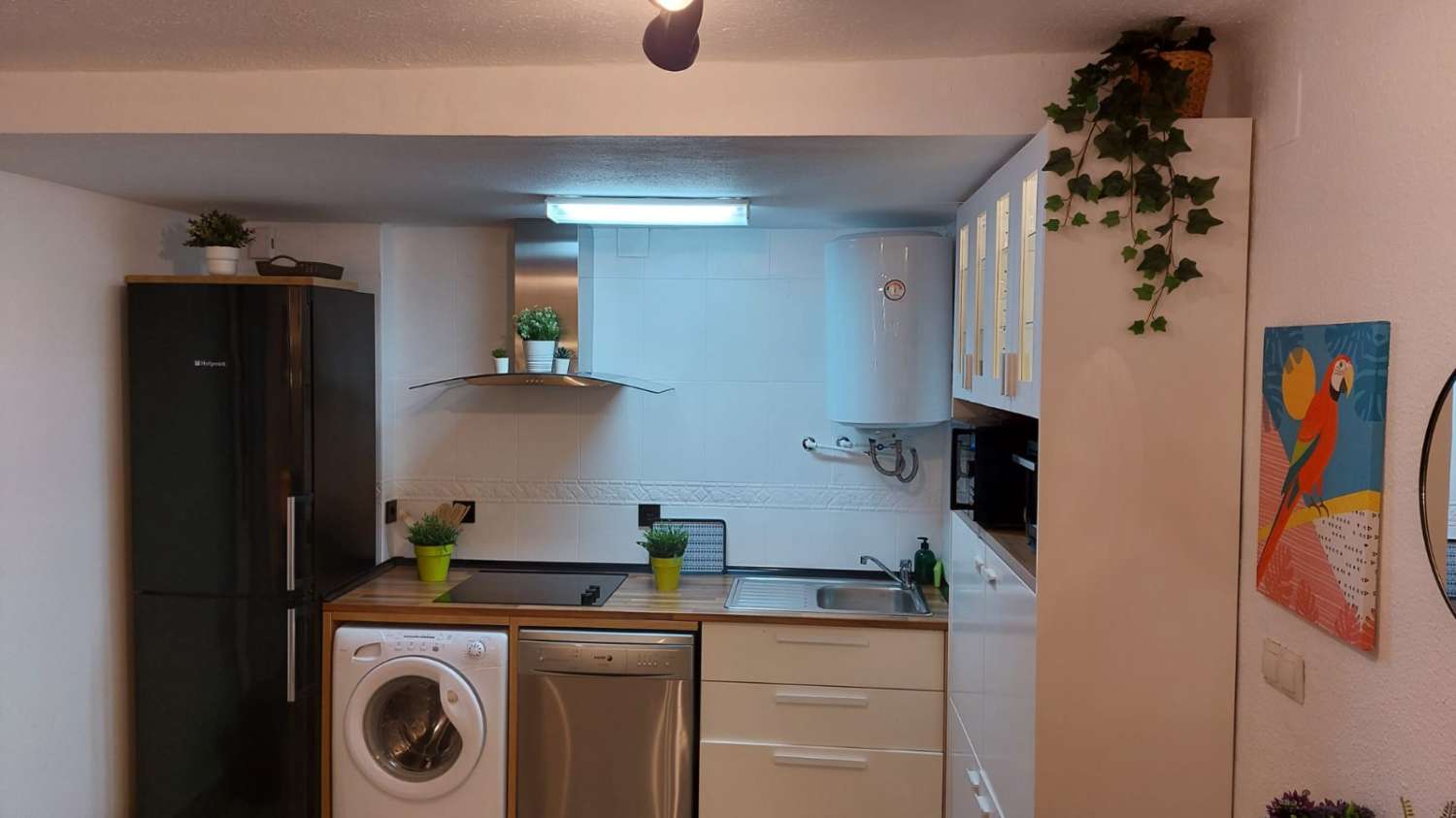 SE ALQUILA DESDE 1/9/26 -30/06/2027 BONITO APARTAMENTO REFORMADO  CERCA PLAZA SOLYMAR