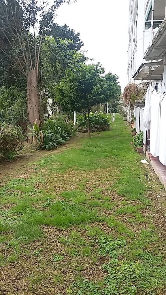 SE ALQUILA DESDE 1/9/26 -30/06/2027 BONITO APARTAMENTO REFORMADO  CERCA PLAZA SOLYMAR