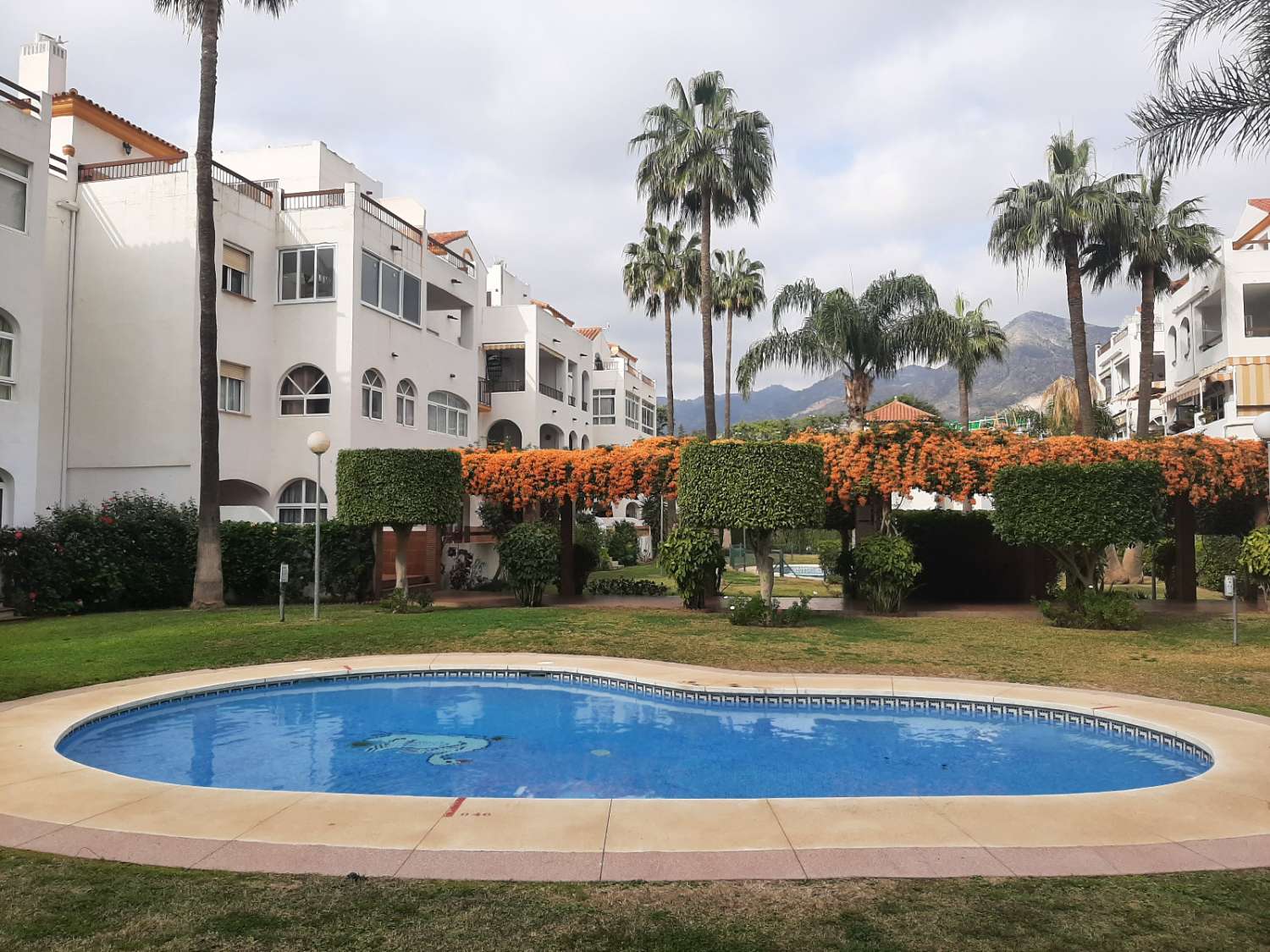 SE ALQUILA BONITO APARTAMENTO EN PLANTA  BAJA DESDE    01/09/26 -30/06/27 EN BENALMÁDENA COSTA
