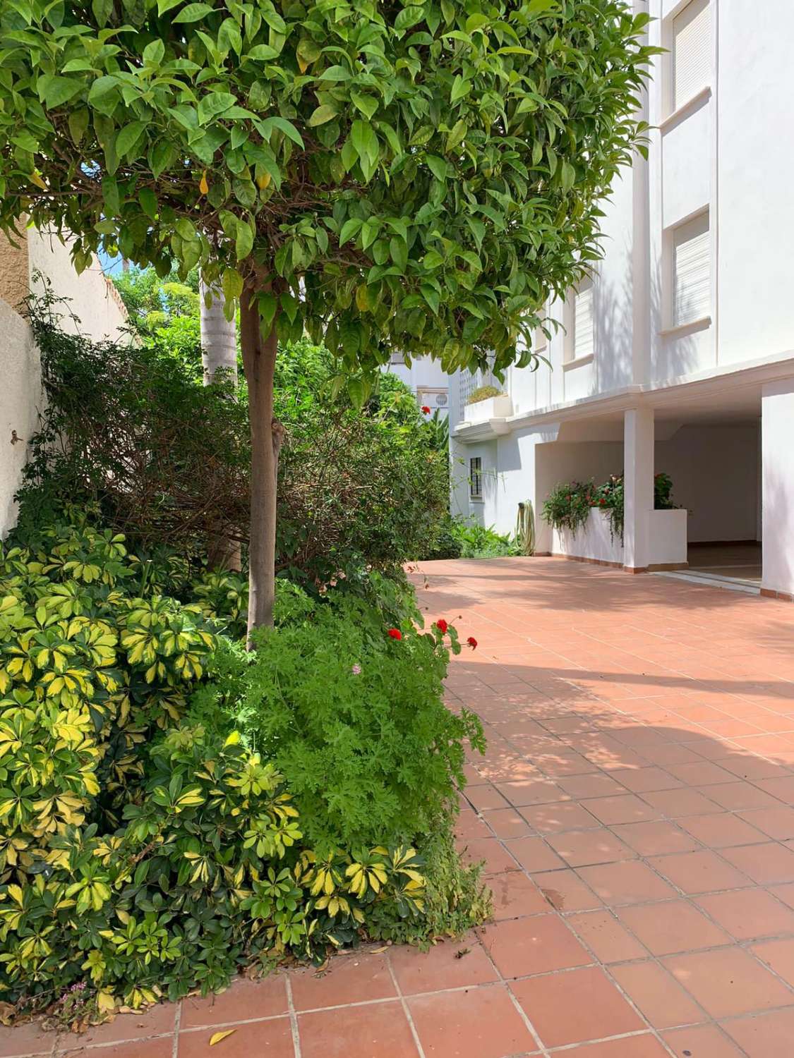 SE ALQUILA  DESDE  1.1026-30.6.27 BONITO APARTAMENTO EN  2ª LINEA DE PLAYA EN LA CARIHUELA  (TORREMOLINOS)