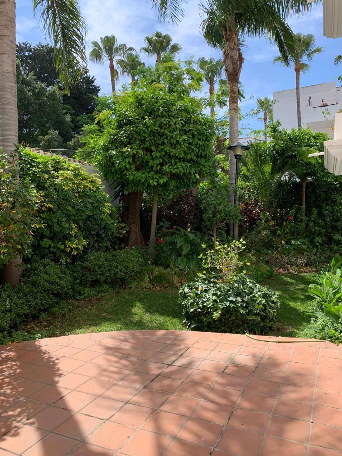 SE ALQUILA  DESDE  1.1026-30.6.27 BONITO APARTAMENTO EN  2ª LINEA DE PLAYA EN LA CARIHUELA  (TORREMOLINOS)