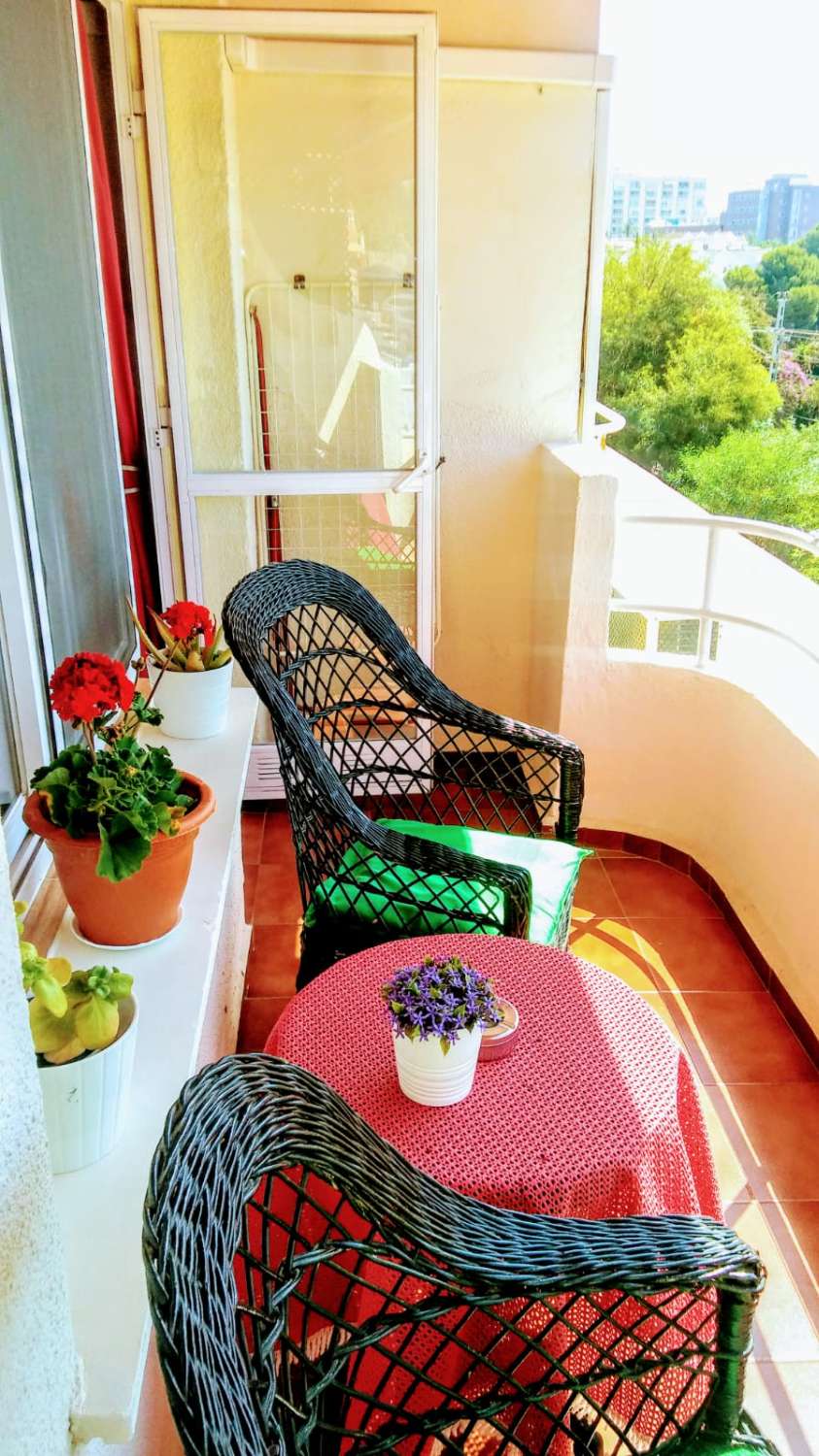 Se alquila desde 01/09/2026-30/06/2027 HERMOSO ESTUDIO EN PLENO CENTRO DE TORREMOLINOS CON VISTAS AL MAR