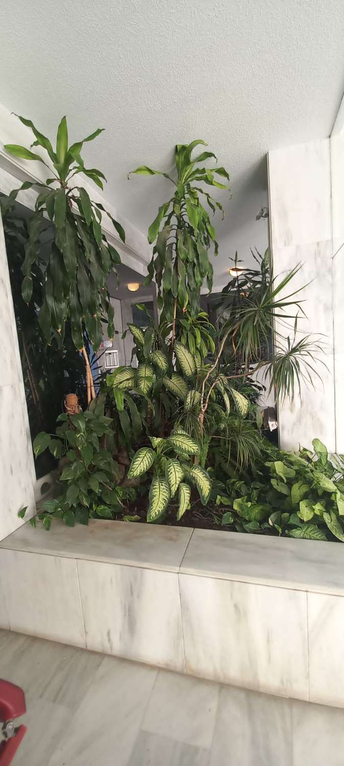 SE VENDE MAGNIFICO PISO EN ZONA CASTILLO DE SOHAIL  CON VISTAS AL MAR (FUENGIROLA)