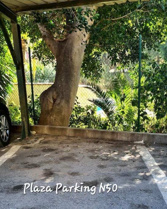 SE ALQUILA DESDE desde 01/03/26 - 30/06/26   Y desde 01/09/2026 hasta 30/06/2027 BONITO APARTAMENTO EN BENALMADENA