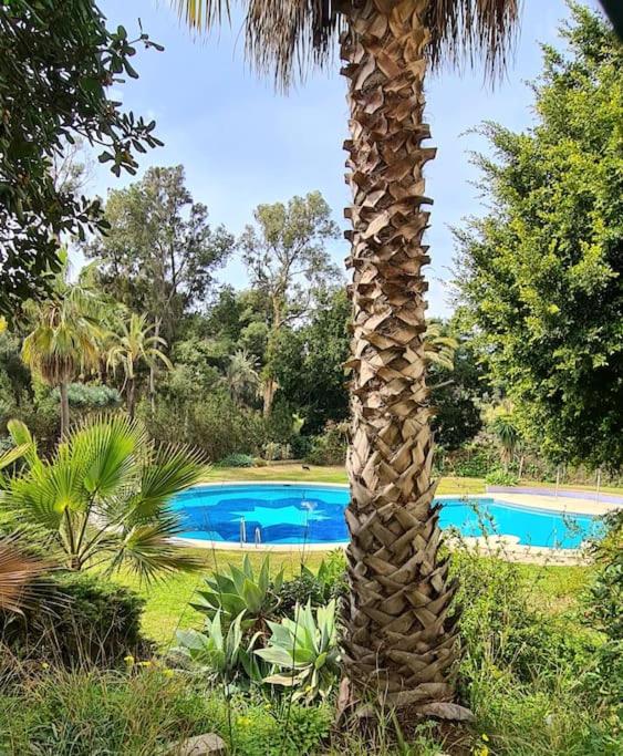 SE ALQUILA DESDE desde 01/03/26 - 30/06/26   Y desde 01/09/2026 hasta 30/06/2027 BONITO APARTAMENTO EN BENALMADENA