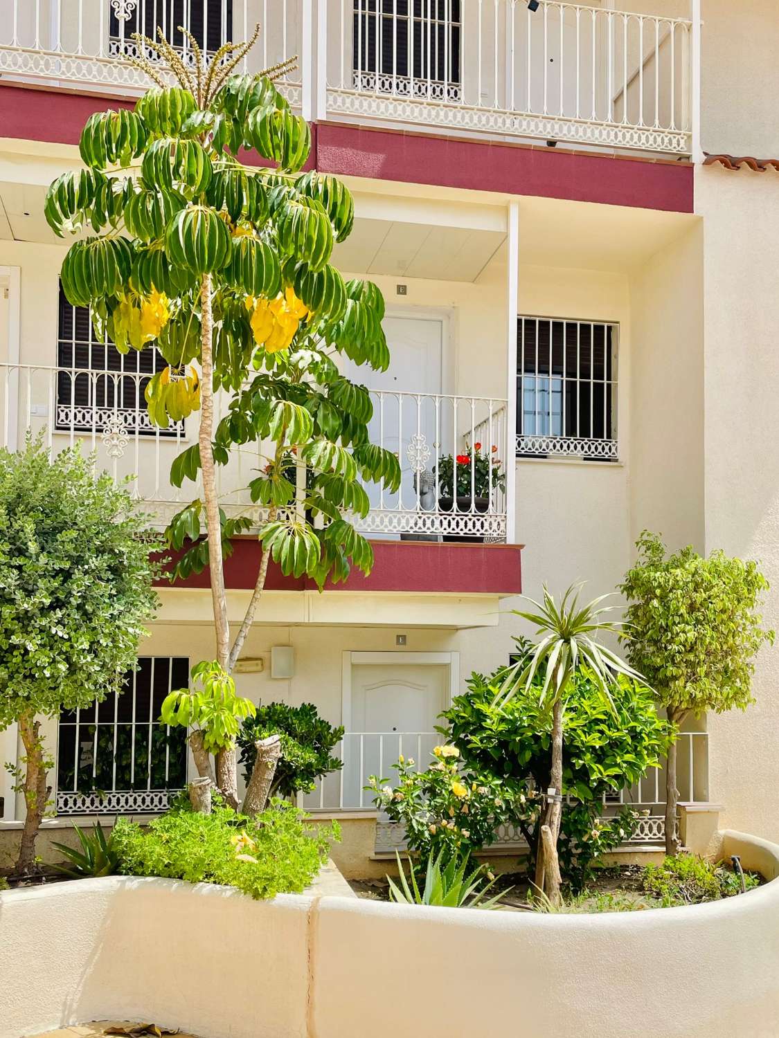 MEDIA TEMPORADA . SE ALQUILA DEL 1.9.26-15.6.27.BONITO APARTAMENTO CERCA DEL CAMPO DE GOLF DE TORREQUEBRADA (BENALMADENA