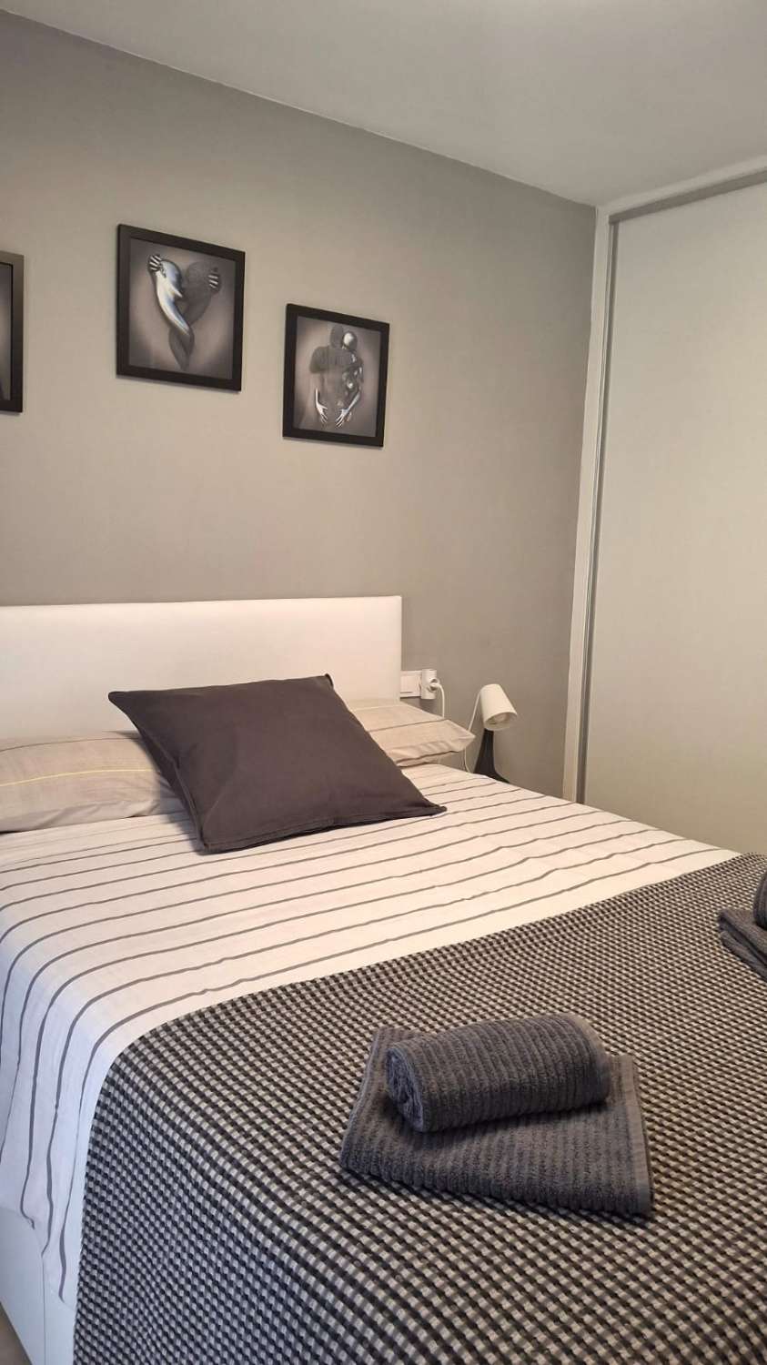 SE ALQUILA  DE 15.03.26-30.6.26  Y desde 01/09/2026 hasta 30/06/2027 BONITO APARTAMENTO CON VISTAS AL MAR EN ARROYO DE LA MIEL