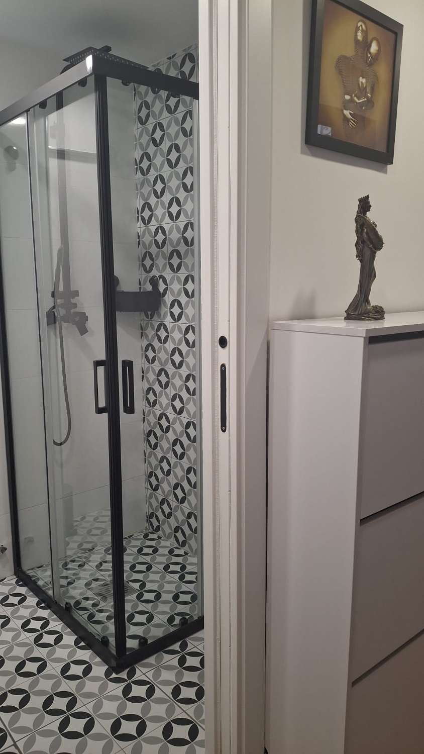 SE ALQUILA  DE 15.03.26-30.6.26  Y desde 01/09/2026 hasta 30/06/2027 BONITO APARTAMENTO CON VISTAS AL MAR EN ARROYO DE LA MIEL