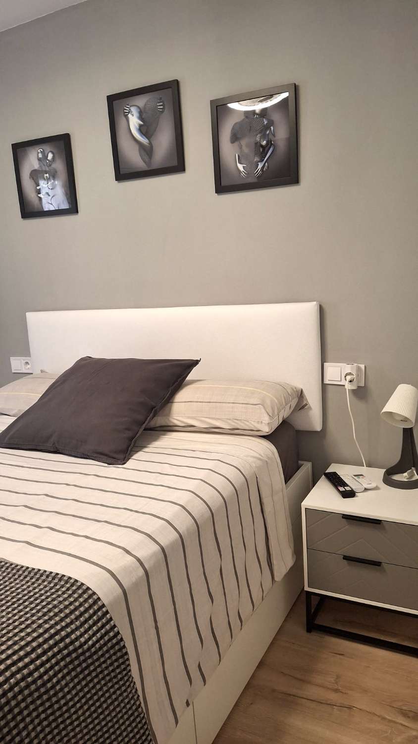 SE ALQUILA  DE 15.03.26-30.6.26  Y desde 01/09/2026 hasta 30/06/2027 BONITO APARTAMENTO CON VISTAS AL MAR EN ARROYO DE LA MIEL