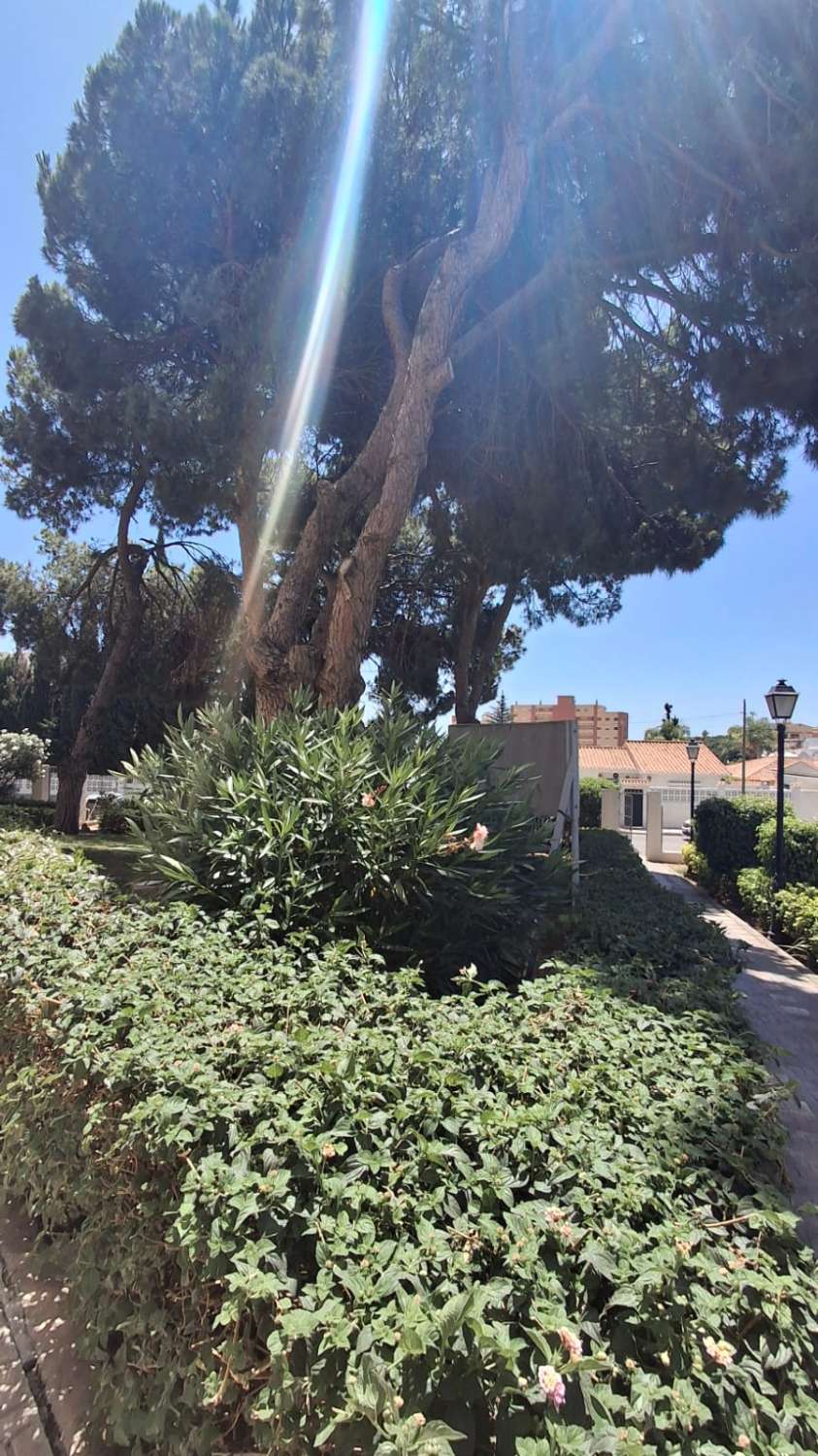 SE ALQUILA  DE 15.03.26-30.6.26  Y desde 01/09/2026 hasta 30/06/2027 BONITO APARTAMENTO CON VISTAS AL MAR EN ARROYO DE LA MIEL