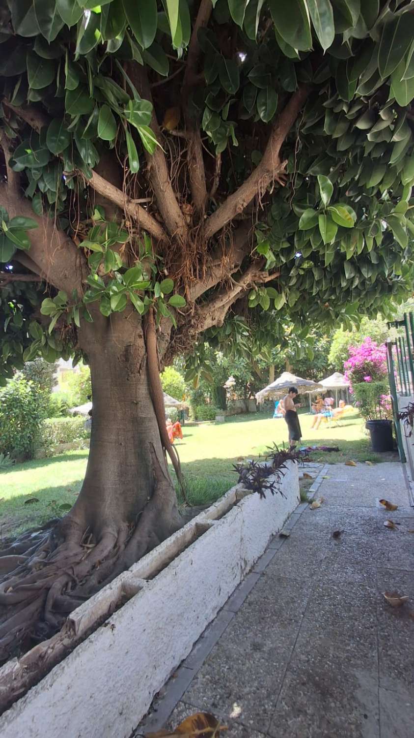 SE ALQUILA  DE 15.03.26-30.6.26  Y desde 01/09/2026 hasta 30/06/2027 BONITO APARTAMENTO CON VISTAS AL MAR EN ARROYO DE LA MIEL