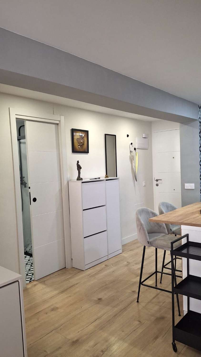 SE ALQUILA  DE 15.03.26-30.6.26  Y desde 01/09/2026 hasta 30/06/2027 BONITO APARTAMENTO CON VISTAS AL MAR EN ARROYO DE LA MIEL