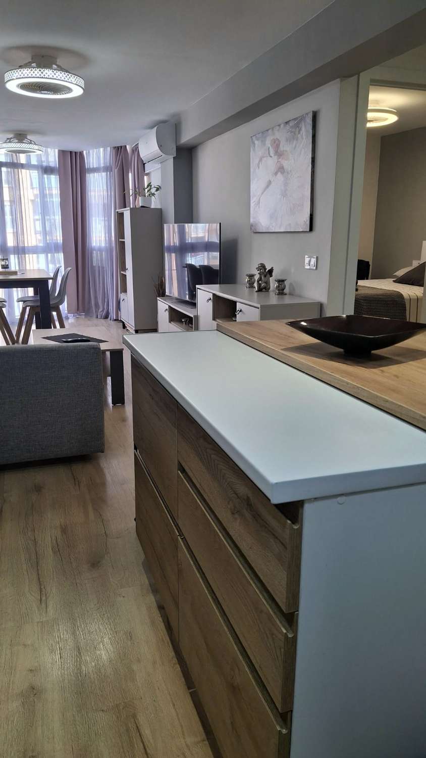 SE ALQUILA  DE 15.03.26-30.6.26  Y desde 01/09/2026 hasta 30/06/2027 BONITO APARTAMENTO CON VISTAS AL MAR EN ARROYO DE LA MIEL