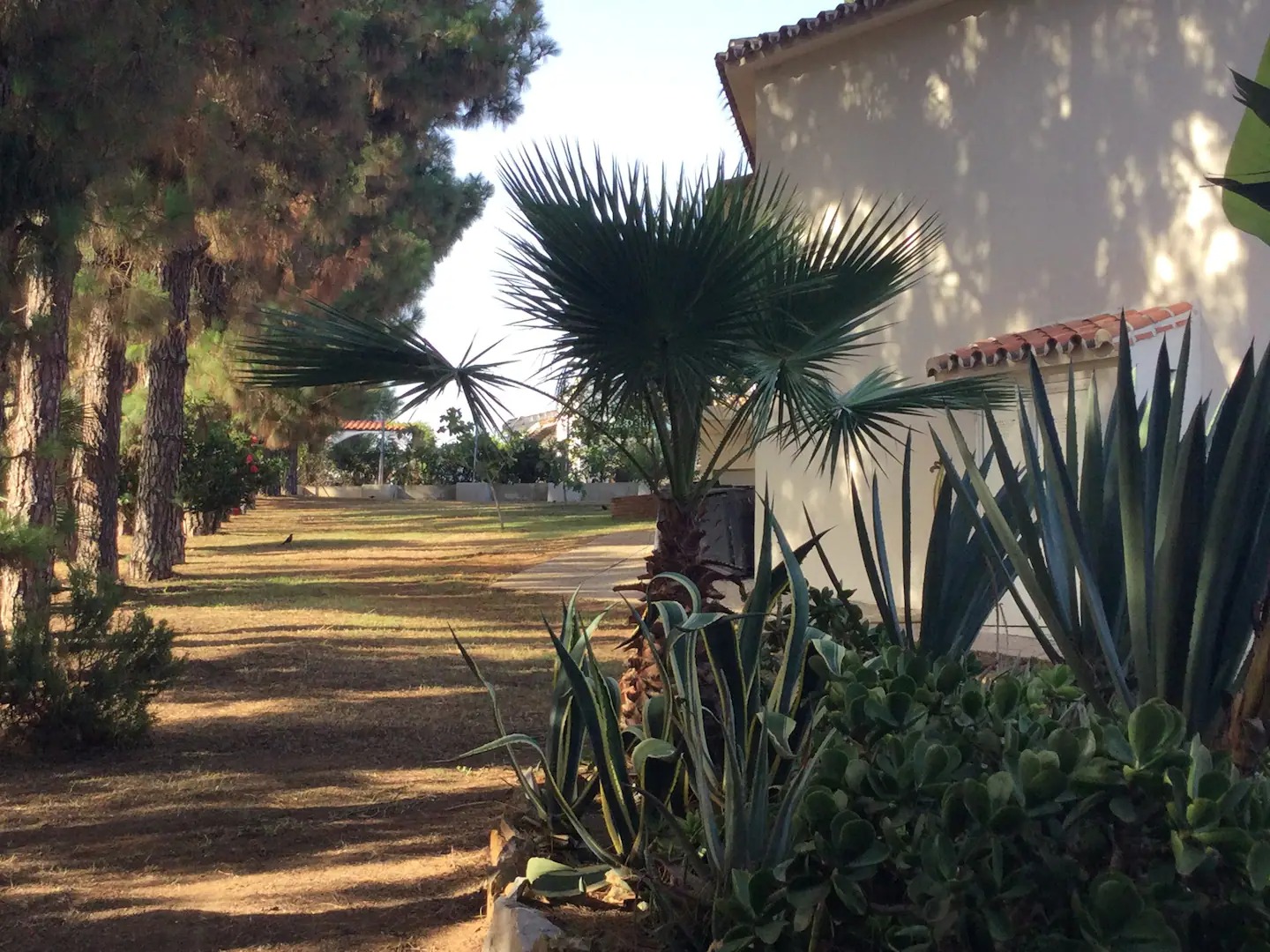 Villa en alquiler DESDE  ahora hasta  31/05/26 en las Lagunas de Mijas