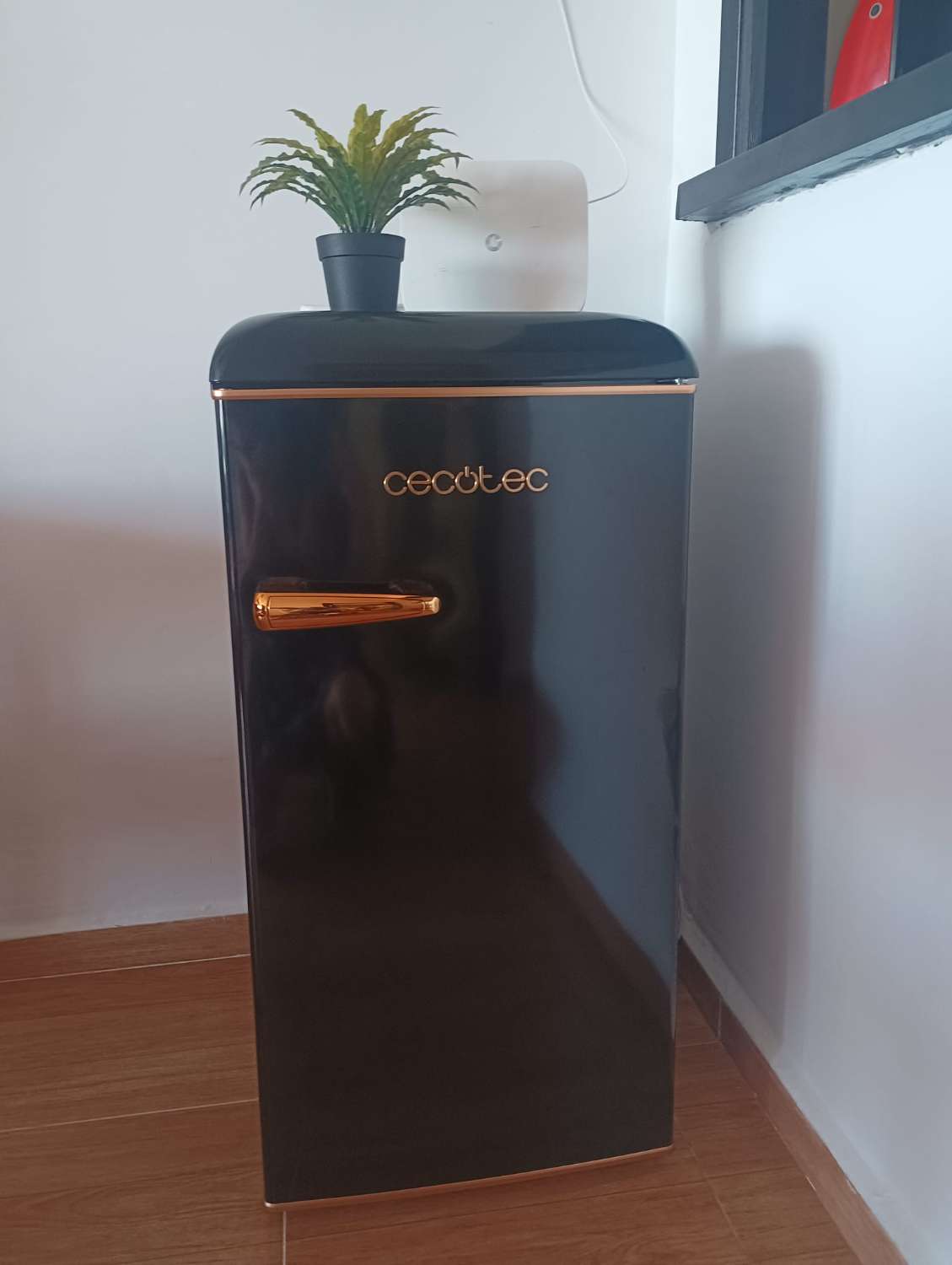 SE ALQUILA HASTA  30.04.2026 Y DESDE 01/09/2026-30/06/2027  CON VISTAS AL MAR (TORREMOLINOS)