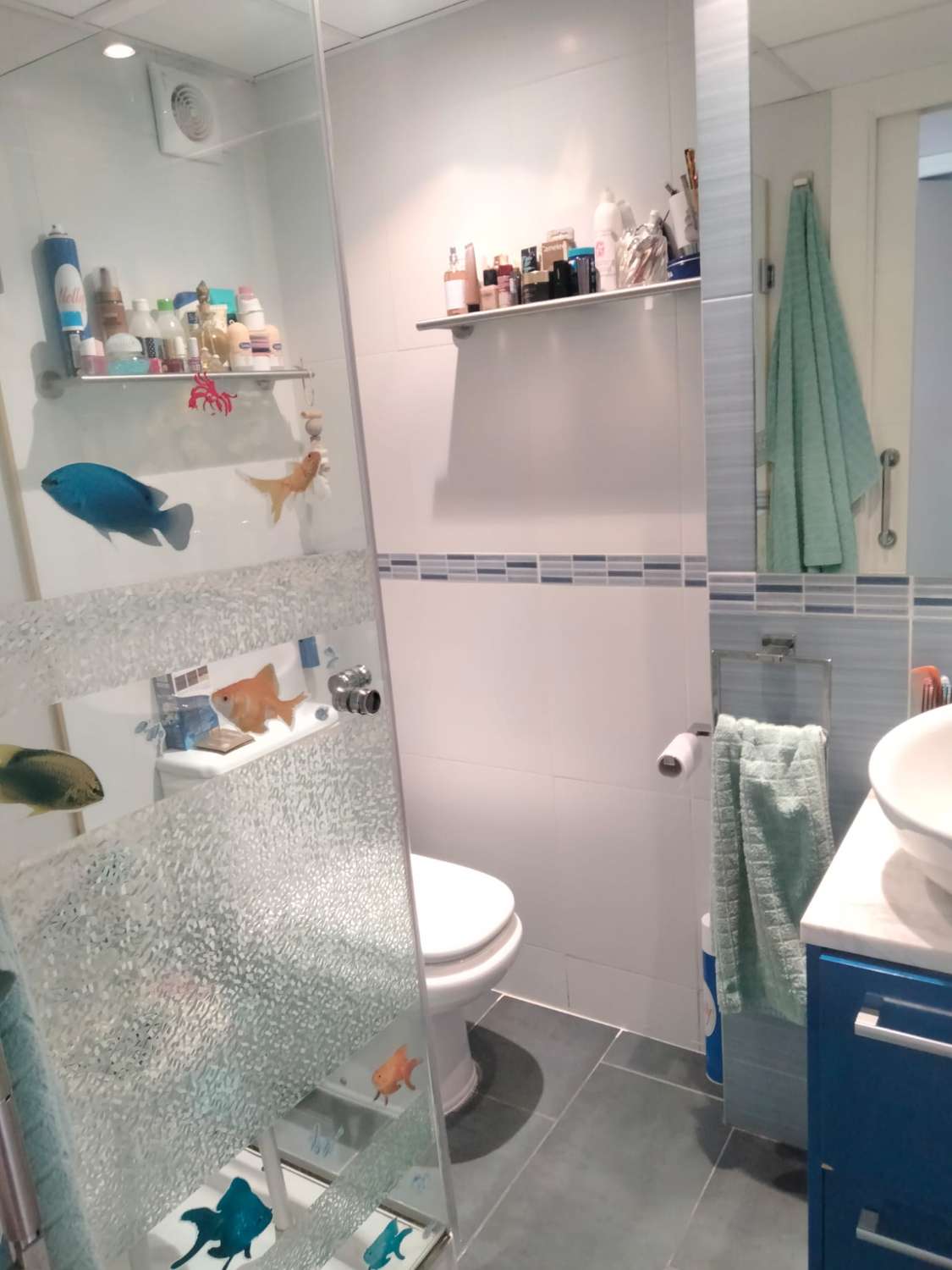 MEDIA TEMPORADA . SE ALQUILA HASTA 30.6.26 Y DESDE 01/09/2026- 30/06/2027 BONITO APARTAMENTO CON MAGNIFICAS VISTAS AL MAR EN PLAYAMAR (TORREMOLINOS)