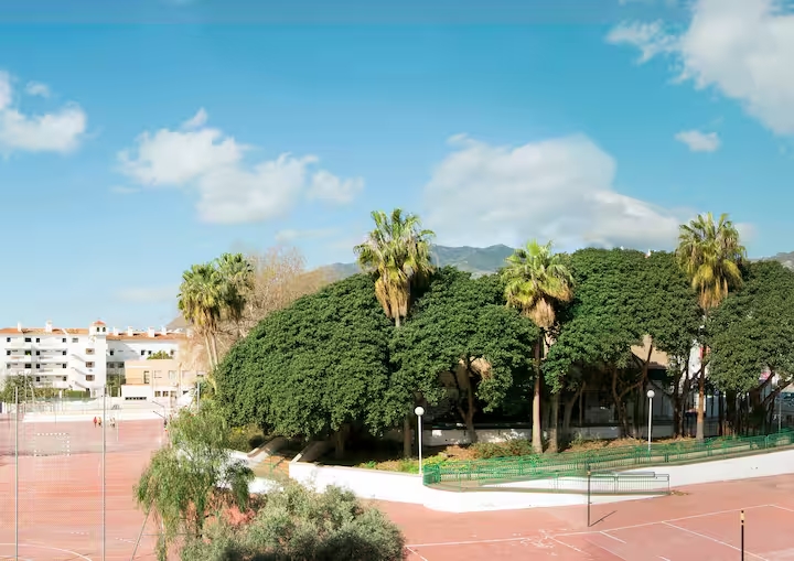 SE ALQUILA DESDE 1.3.26-30.6.26 PRECIOSO APARTAMENTO EN BENALMADENA