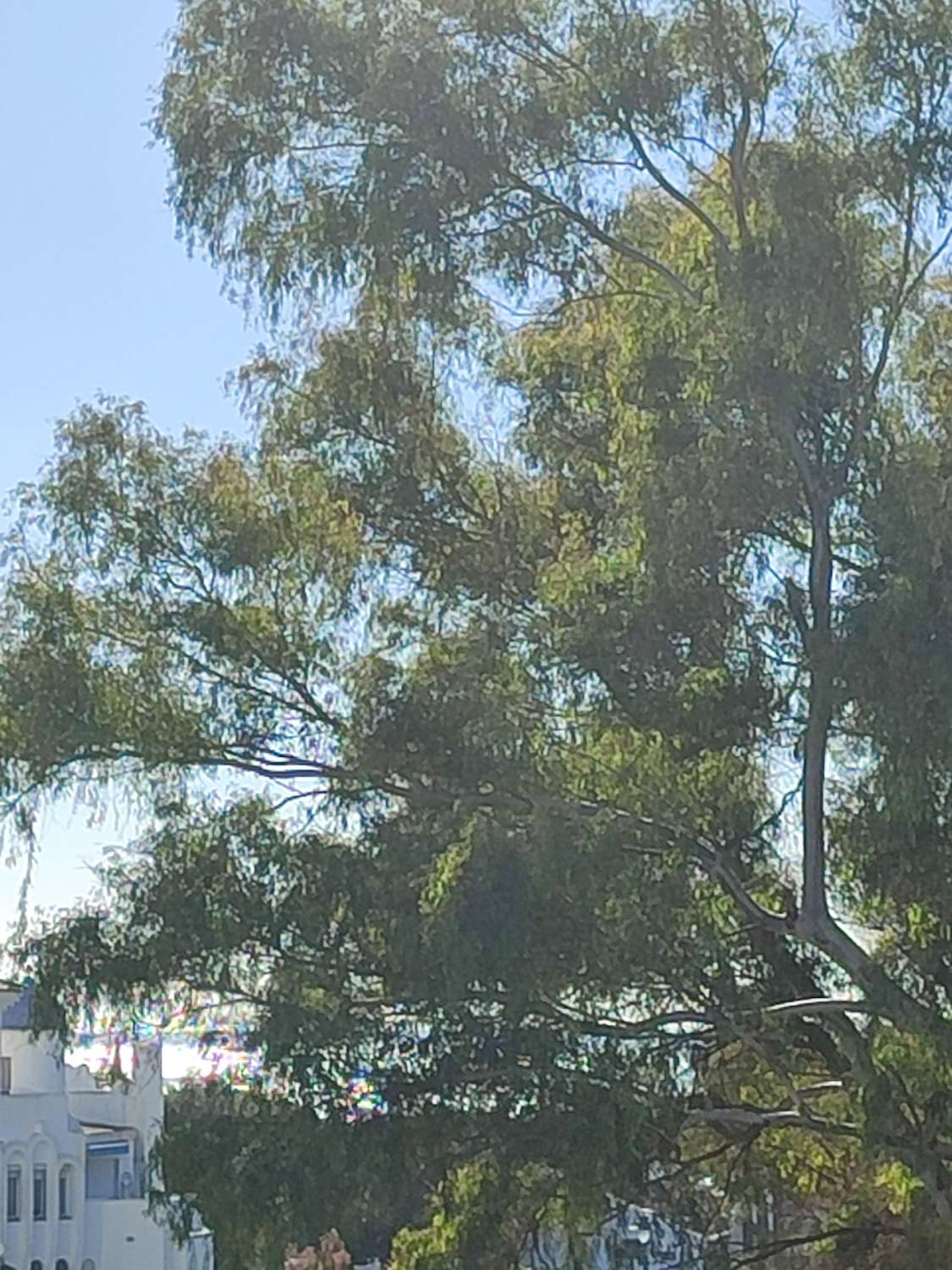 SE VENDE BONITO  DUPLEX AMUEBLADO CON LICENCIA TURISTICA EN CALAHONDA (MIJAS)