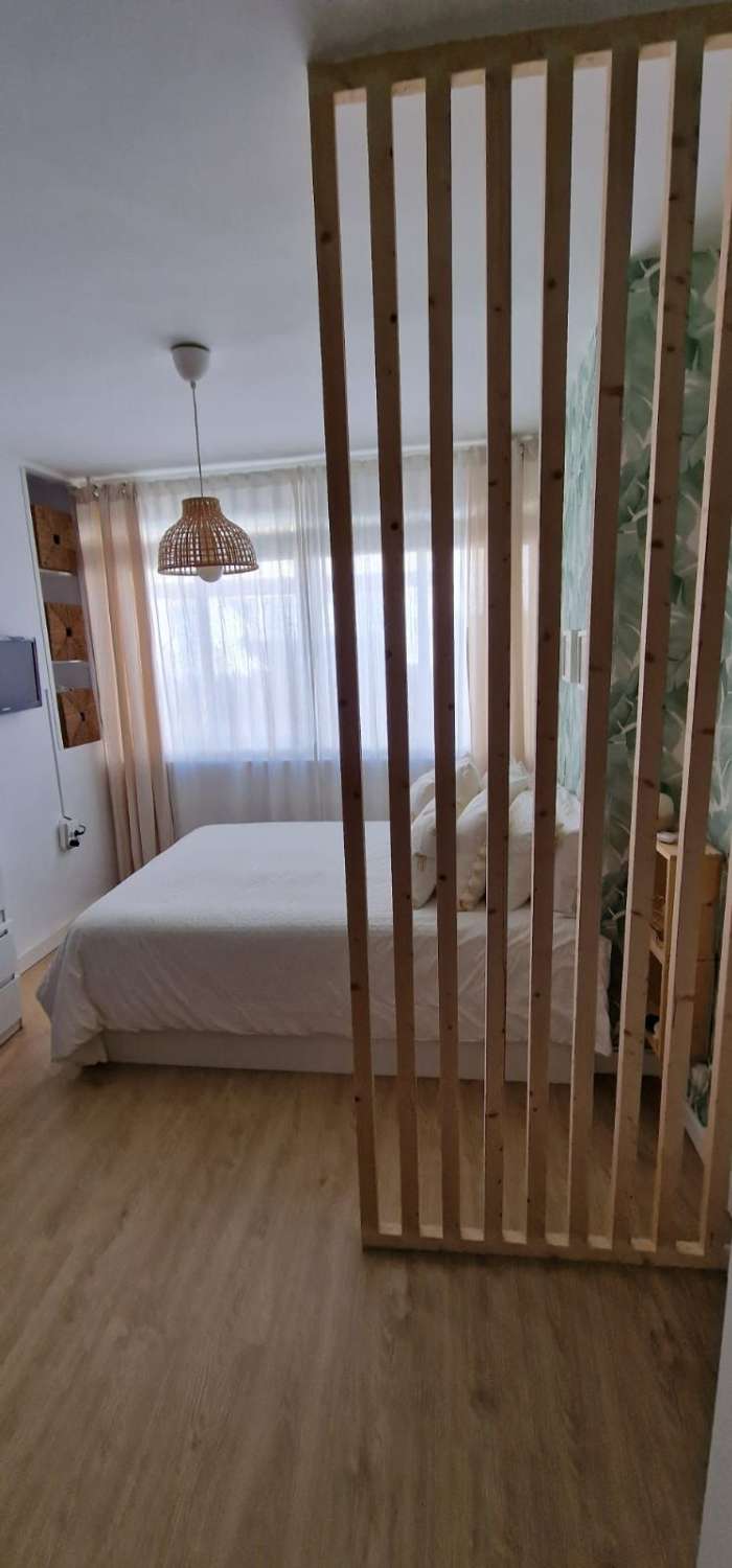 STUDIE TIL LEJE FRA 1.9.26-30.6.27 RENOVERET NÆR LA CARIHUELA (TORREMOLINOS)