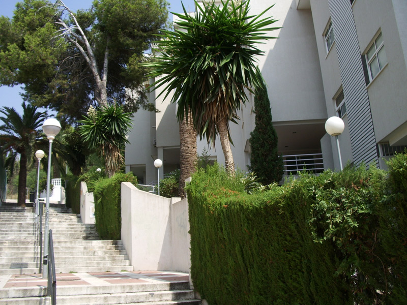 SE ALQUILA  HASTA 30/06/2026 Y DESDE 1.9.26- 30.6.27 BONITO APARTAMENTO EN CENTRO DE LA CARIHUELA (TORREMOLINOS)