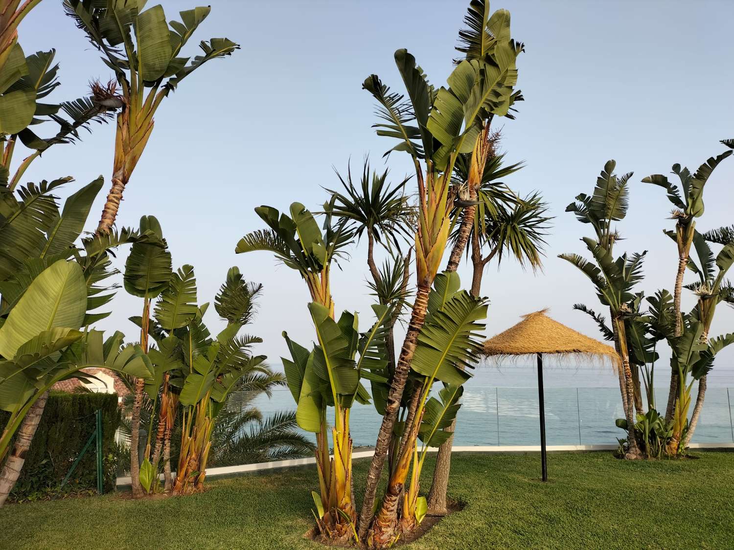 SE ALQUILA DE 1.4.26 POR LARGA TEMPORADA BONITO APARTAMENTO CON VISTAS AL MAR EN 1ª LINEA DE PLAYA EN BENALMADENA