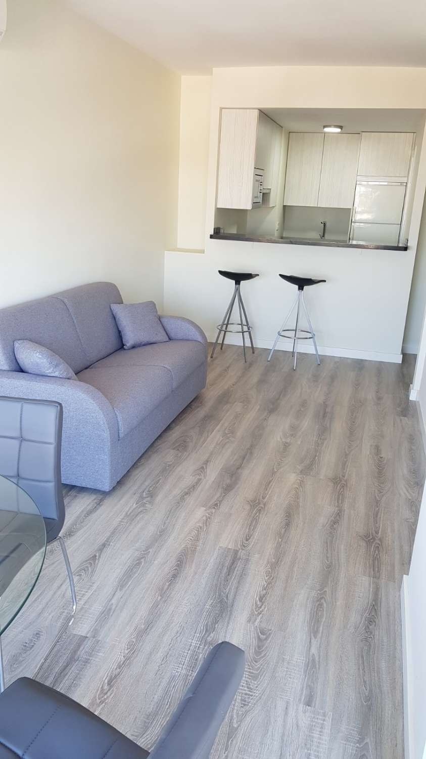 LARGA TEMPORADA SE ALQUILA BONITO APARTAMENTO EN LA COLINA  CON VISTAS  AL MAR (TORREMOLINOS )