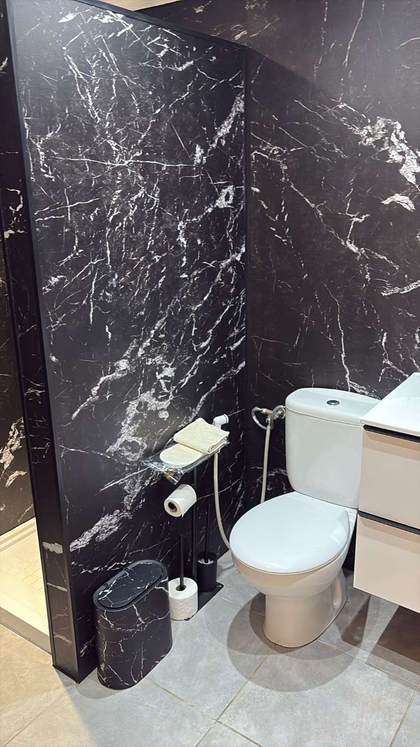 SE ALQUILA DESDE AHORA  HASTA 09/06/2026 Y DESDE01/09/2026-30/06/2027 PRECIOSO APARTAMENTO EN MIJAS COSTA CON VISTAS ESPECTACULARES.