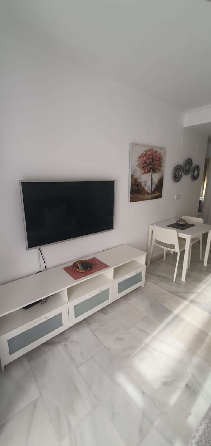 SE ALQUILA POR LARGA TEMPORADA BONITO APARTAMENTO EN FUENGIROLA