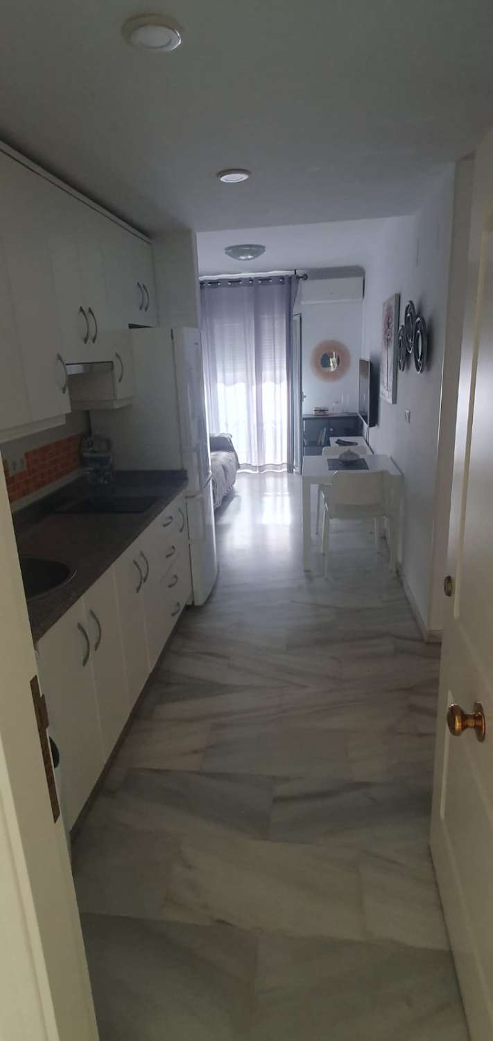 SE ALQUILA POR LARGA TEMPORADA BONITO APARTAMENTO EN FUENGIROLA