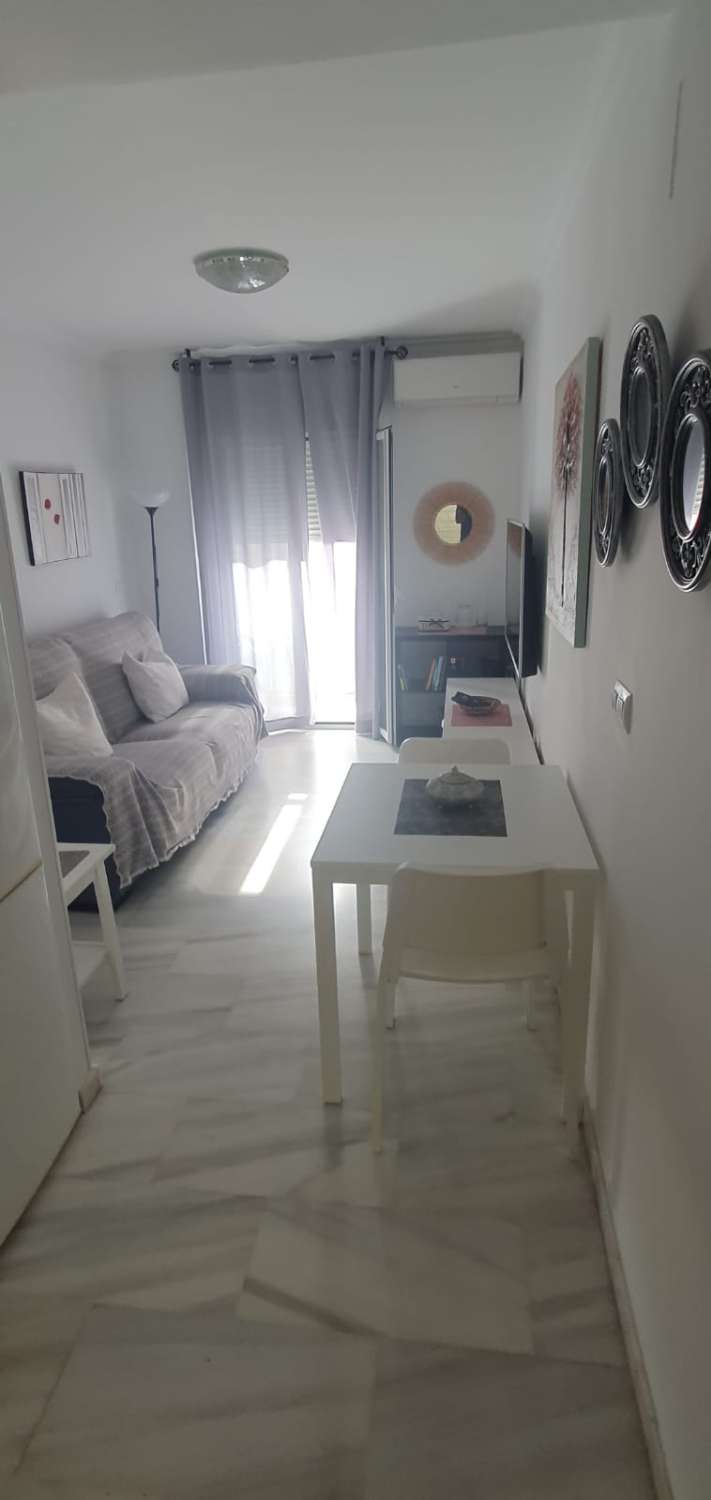 SE ALQUILA POR LARGA TEMPORADA BONITO APARTAMENTO EN FUENGIROLA