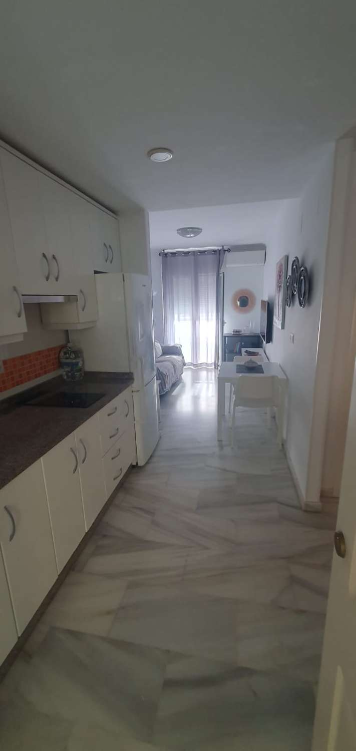 SE ALQUILA POR LARGA TEMPORADA BONITO APARTAMENTO EN FUENGIROLA