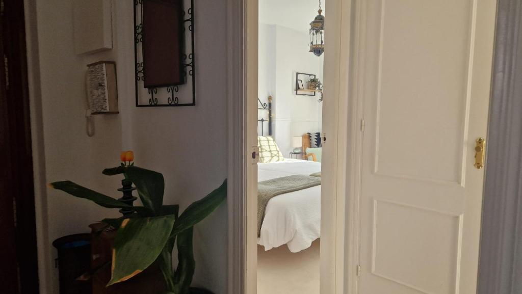 SE ALQUILA HASTA 30.6.26  y  DESDE 15.9.26-30.6.27 PRECIOSO APARTAMENTO EN CALAHONDA (MIJAS COSTA)