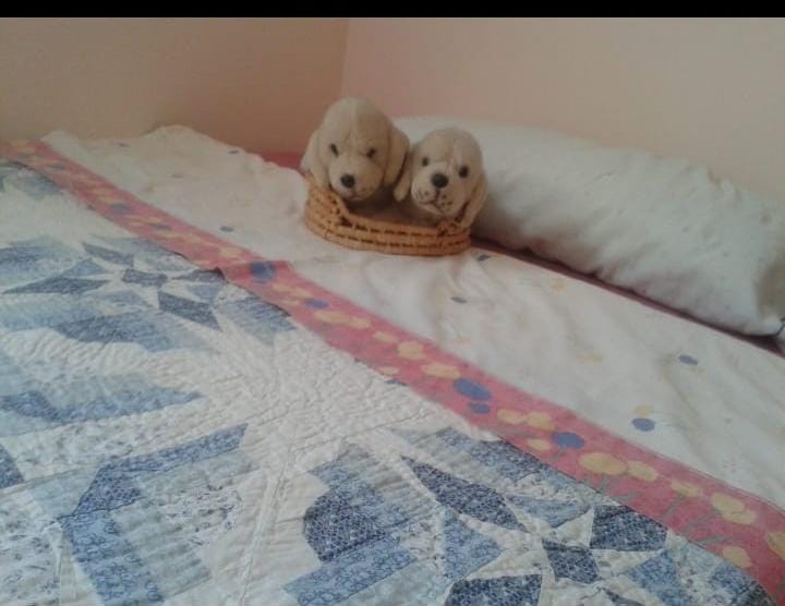 SE ALQUILA DESDE AHORA POR 6 MESES RENOVABLES BONITO APARTAMENTO EN 1ª LINEA DE PLAYA EN MIJAS COSTA