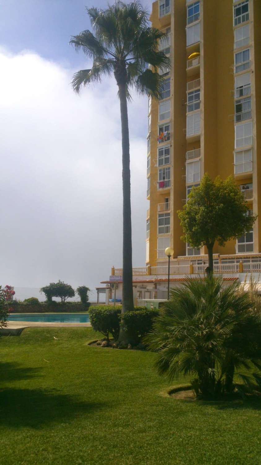 SE ALQUILA DESDE AHORA POR 6 MESES RENOVABLES BONITO APARTAMENTO EN 1ª LINEA DE PLAYA EN MIJAS COSTA