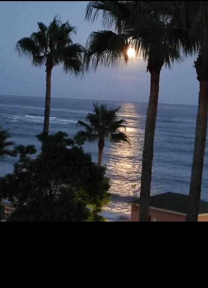 SE ALQUILA DESDE AHORA POR 6 MESES RENOVABLES BONITO APARTAMENTO EN 1ª LINEA DE PLAYA EN MIJAS COSTA