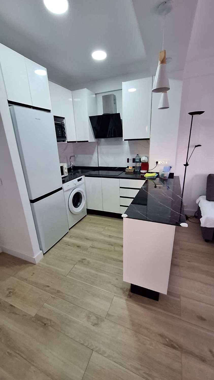 SE ALQUILA DESDE 30/11/26 HASTA 28.03.27  MAGNIFICO APARTAMENTO EN 1ª LINEA CON PRECIOSAS VISTAS AL MAR EN FUENGIROLA