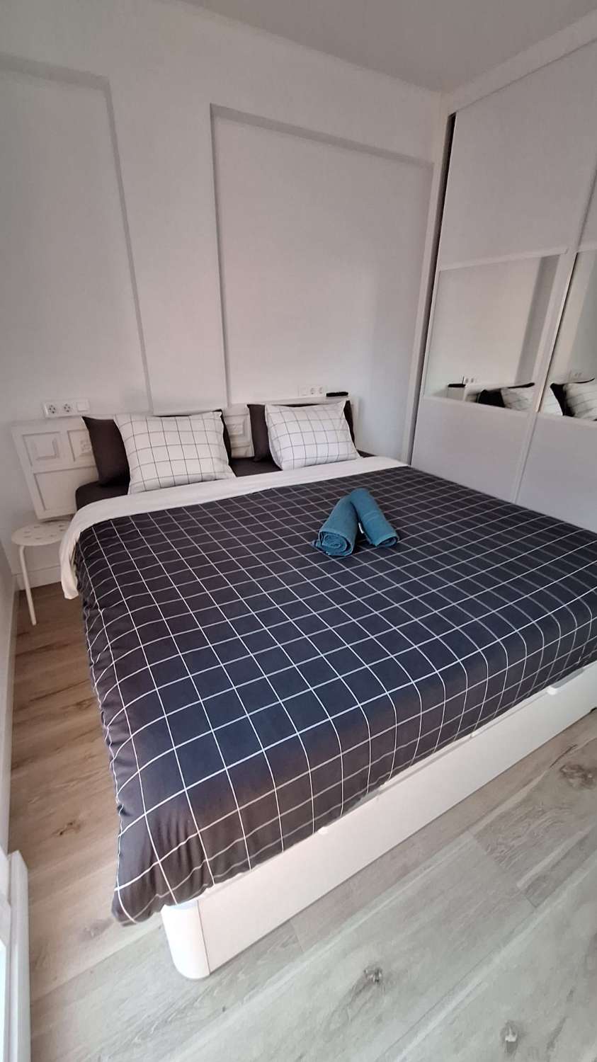 SE ALQUILA DESDE 30/11/26 HASTA 28.03.27  MAGNIFICO APARTAMENTO EN 1ª LINEA CON PRECIOSAS VISTAS AL MAR EN FUENGIROLA