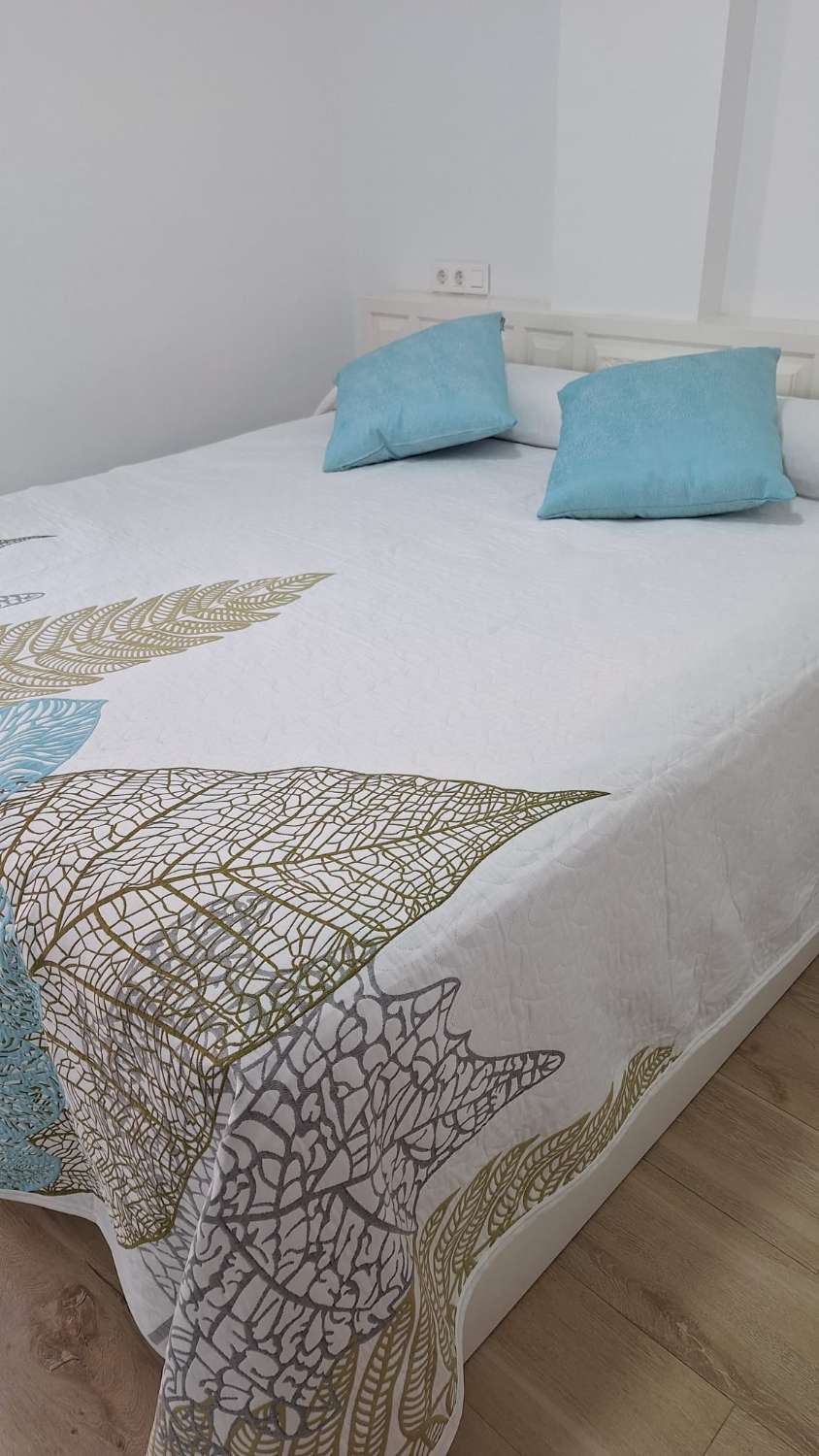 SE ALQUILA DESDE 30/11/26 HASTA 28.03.27  MAGNIFICO APARTAMENTO EN 1ª LINEA CON PRECIOSAS VISTAS AL MAR EN FUENGIROLA