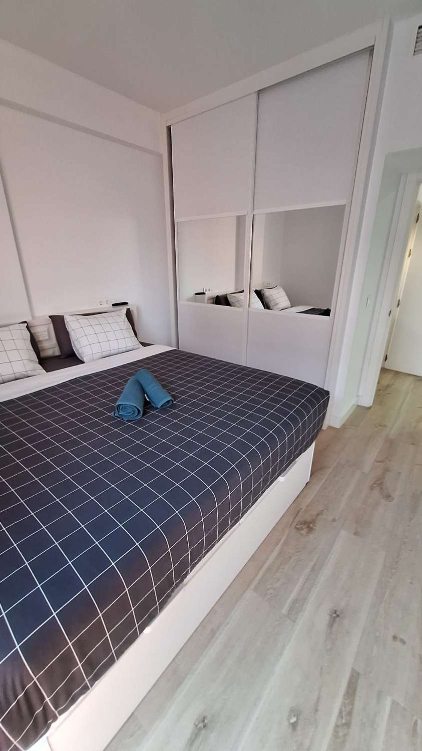 SE ALQUILA DESDE 30/11/26 HASTA 28.03.27  MAGNIFICO APARTAMENTO EN 1ª LINEA CON PRECIOSAS VISTAS AL MAR EN FUENGIROLA