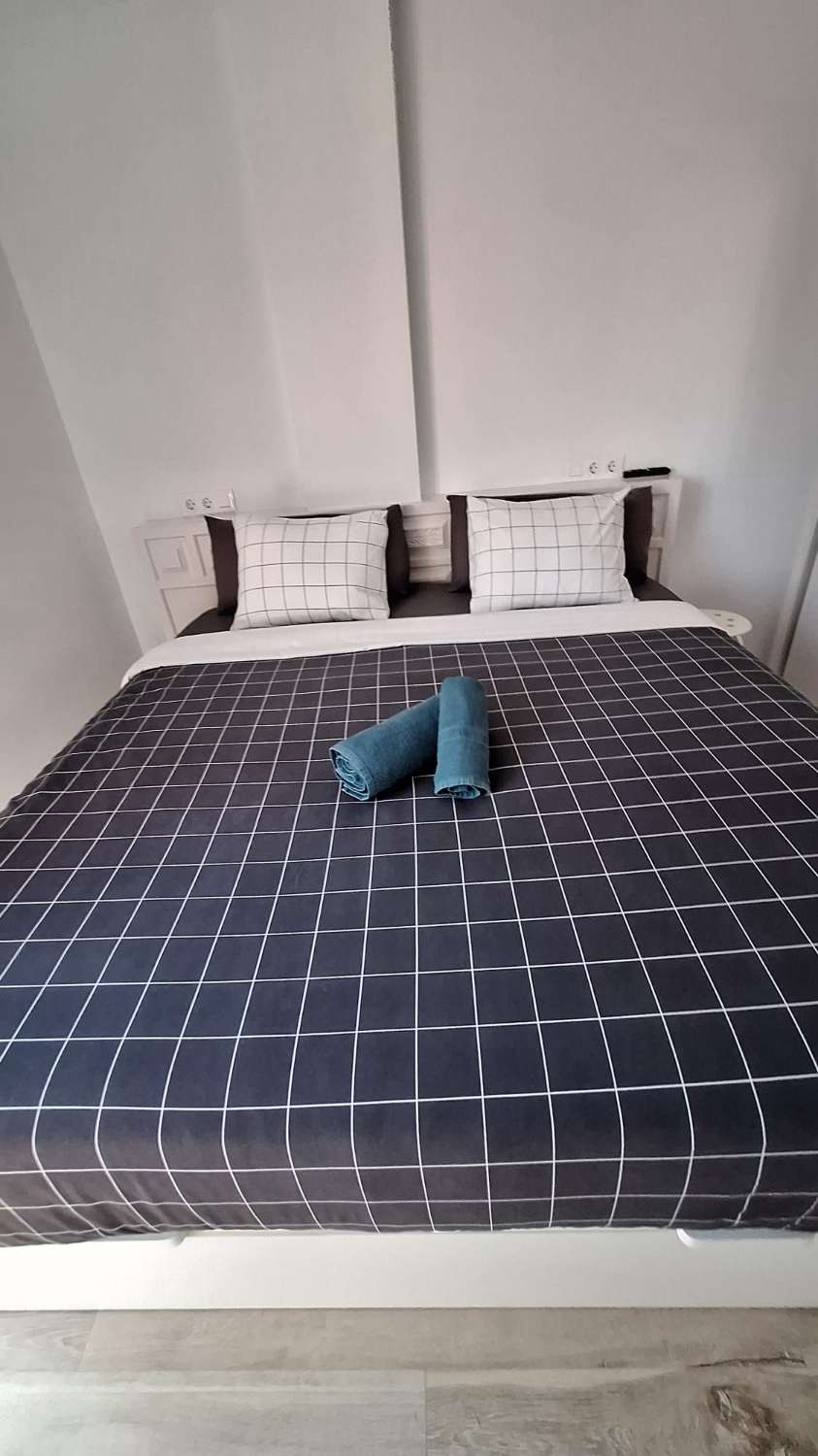 SE ALQUILA DESDE 30/11/26 HASTA 28.03.27  MAGNIFICO APARTAMENTO EN 1ª LINEA CON PRECIOSAS VISTAS AL MAR EN FUENGIROLA