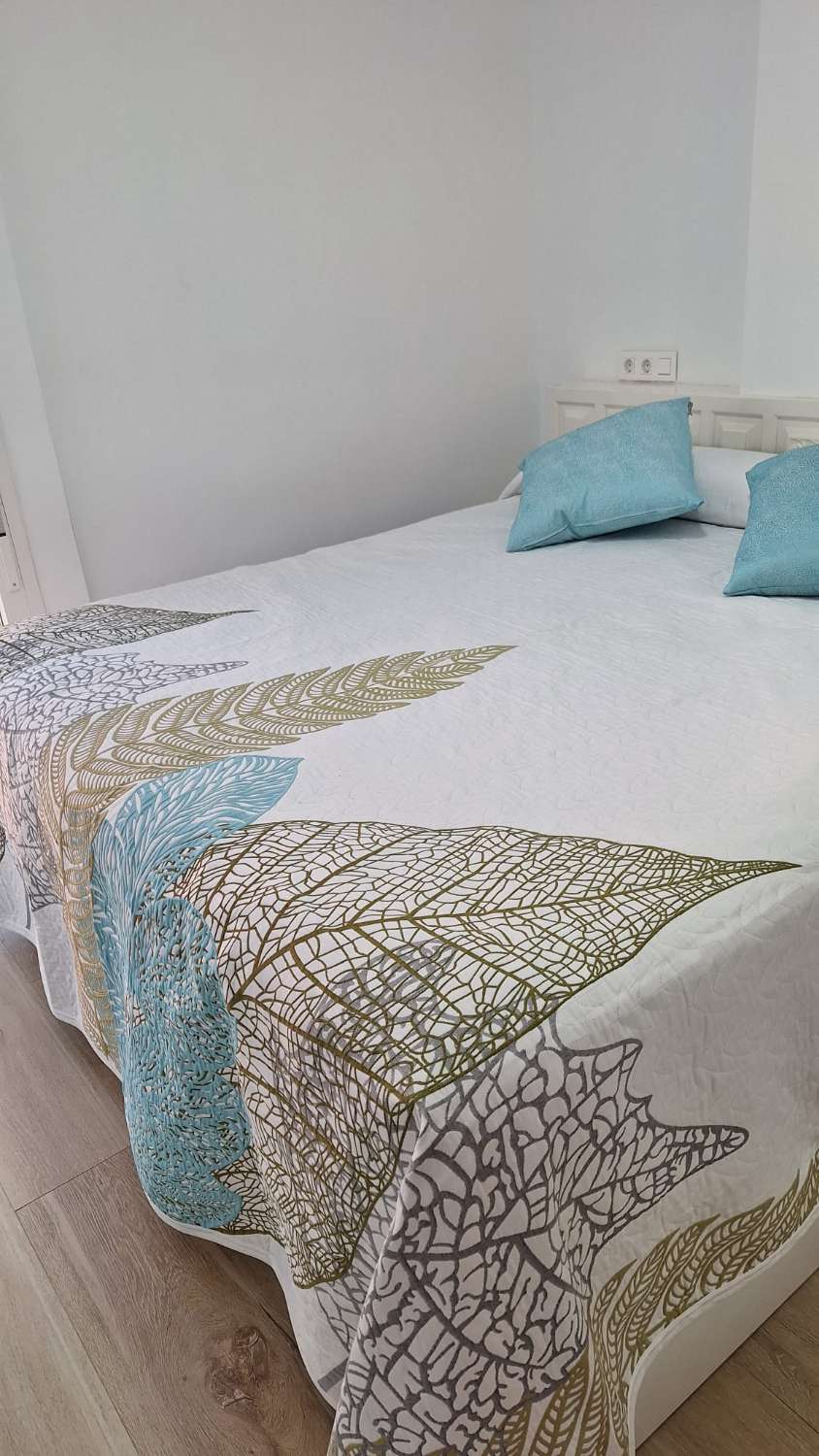 SE ALQUILA DESDE 30/11/26 HASTA 28.03.27  MAGNIFICO APARTAMENTO EN 1ª LINEA CON PRECIOSAS VISTAS AL MAR EN FUENGIROLA