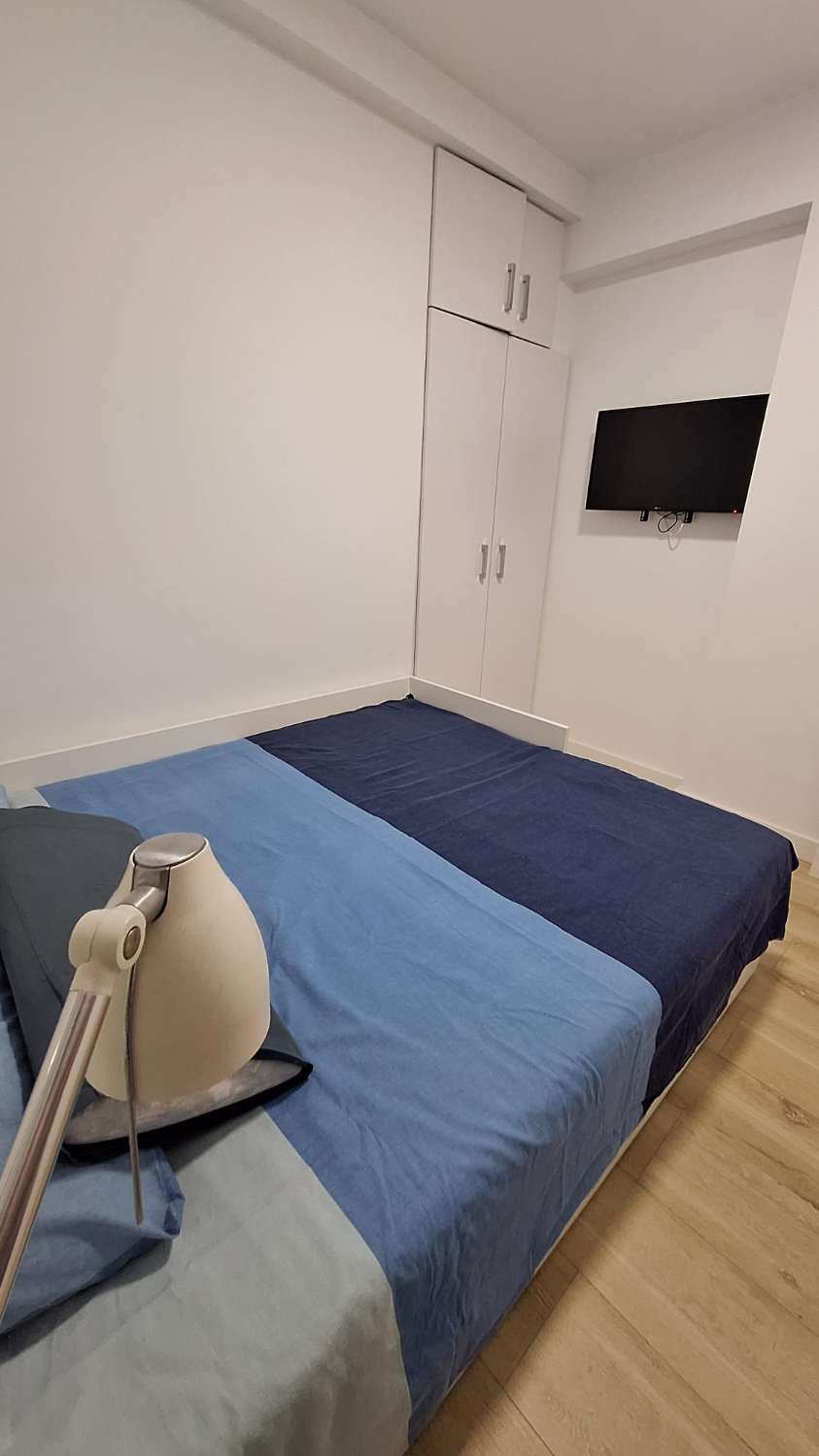 SE ALQUILA DESDE 30/11/26 HASTA 28.03.27  MAGNIFICO APARTAMENTO EN 1ª LINEA CON PRECIOSAS VISTAS AL MAR EN FUENGIROLA